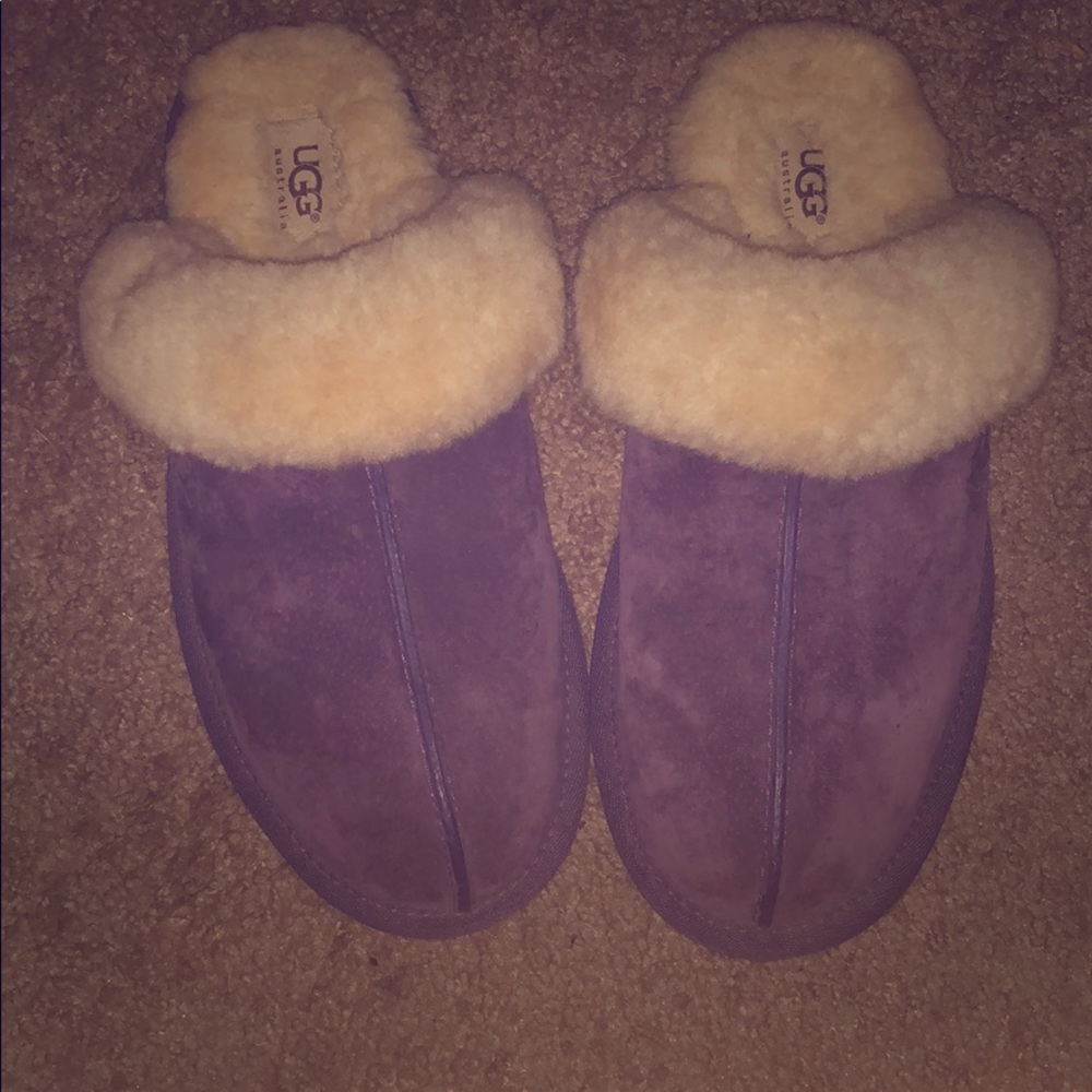 Ugg slippers